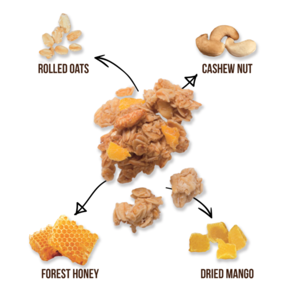 Ingredients for a snack bar with rolled oats, cashew nut, forest honey, and dried mango on a white background.