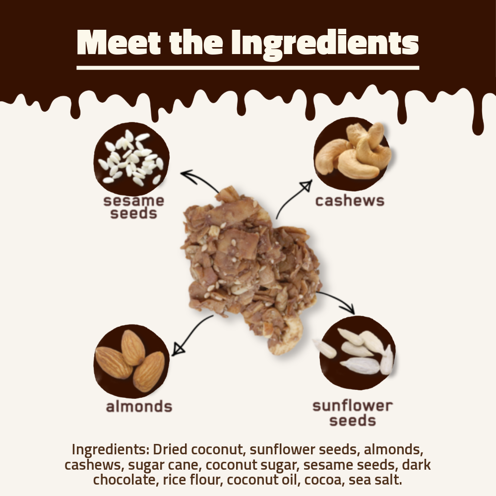 Hundred Seeds Coconut Clusters | Chocolate Mix | 100g