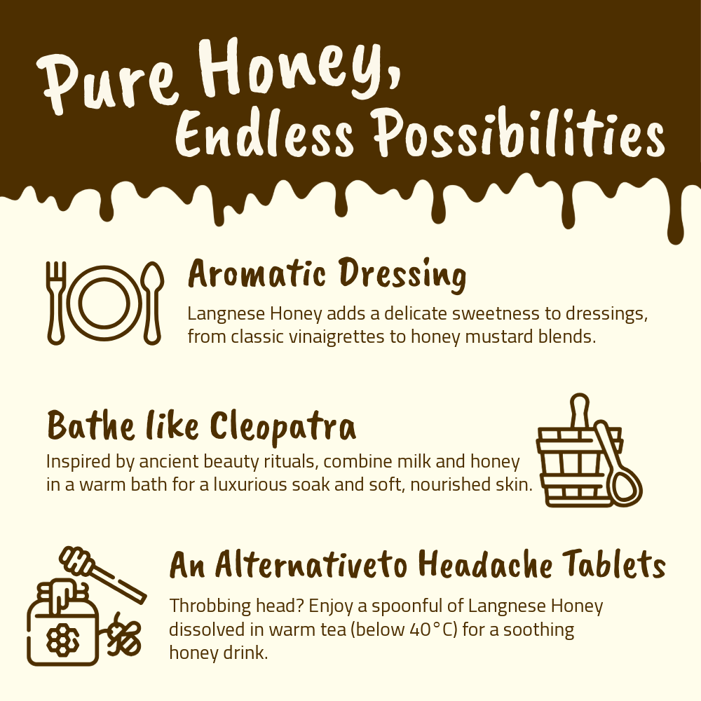 Langnese Acacia Honey with HoneyComb 500g | Premium Natural Honey