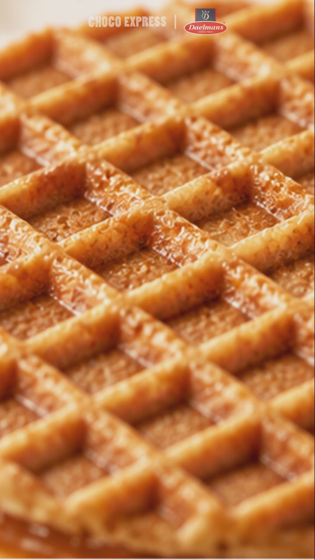 Load video: Daelmans Stroopwafels | Authentic Dutch Waffles with Caramel, Chocolate &amp; Honey Fillings