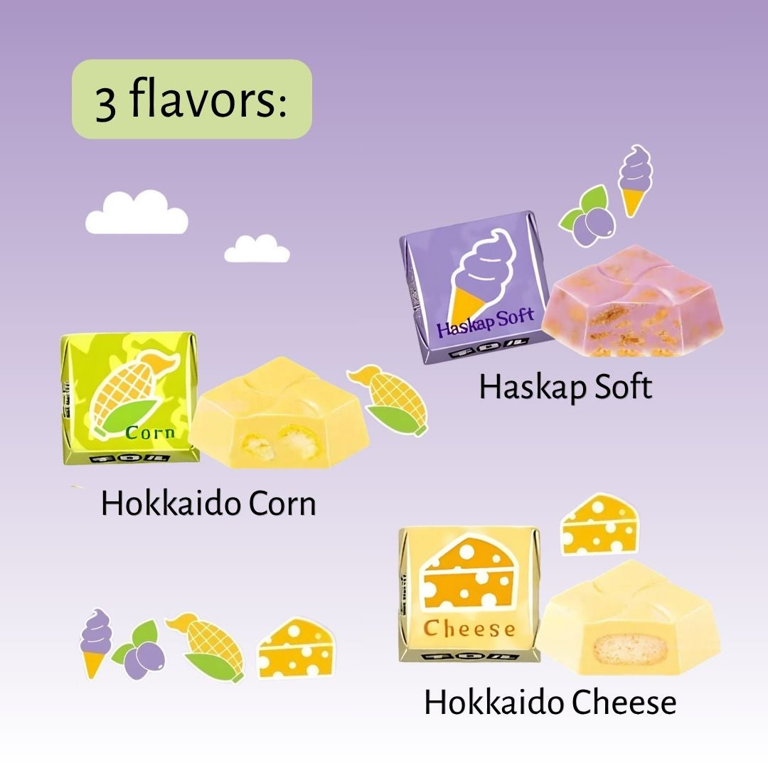 Tirol Chocolate Hokkaido Flavour Courier Box 15P 110g